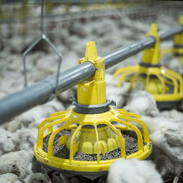 Landbouwapparatuur voor kippen - Farming Equipment For Agriculture recensie en prijs